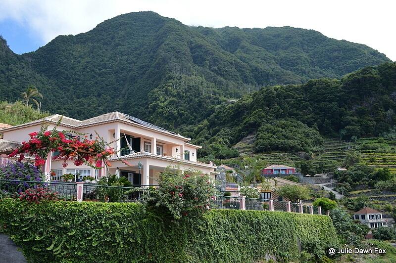 Lush vegetation, São Vicente, Madeira
